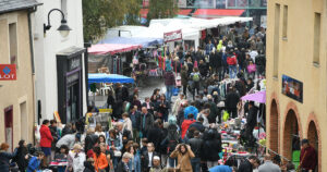 Info Braderie de la Foucherais: Manon PATEUX