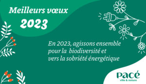 Info Meilleurs vœux 2023: cthual