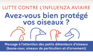 Info Grippe Aviaire : recommandations: cthual