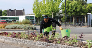 Info Les espaces verts de la commune: Manon PATEUX