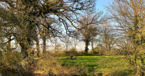 Info Balade « Sur la trace des chênes »: Manon PATEUX