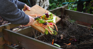 Info Distribution de composteurs individuels: Manon PATEUX