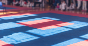 Info Compétition Régionale COP Gouren: Manon PATEUX