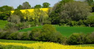 Info Breizh Bocage: Manon PATEUX