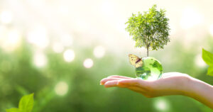 Info La Fresque du Climat: Manon PATEUX